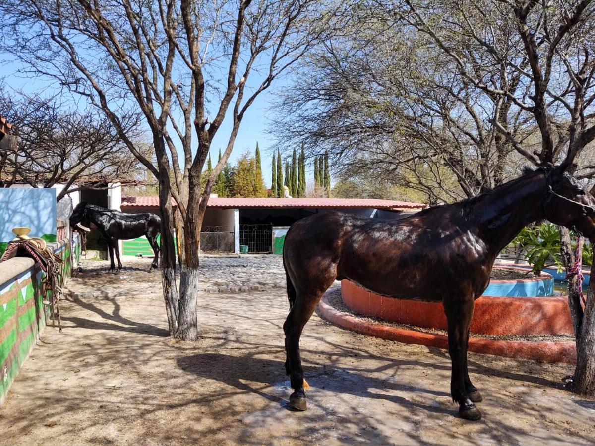 Rancho Labradores Атотонилько Экстерьер фото
